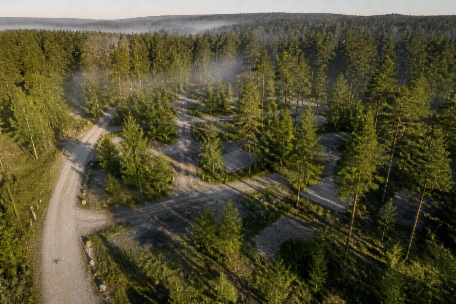 A deserted campsite at first light seen from thirty metres up, mist drifting between the pines, gravel pitches empty, the shadow of a drone on an empty path.