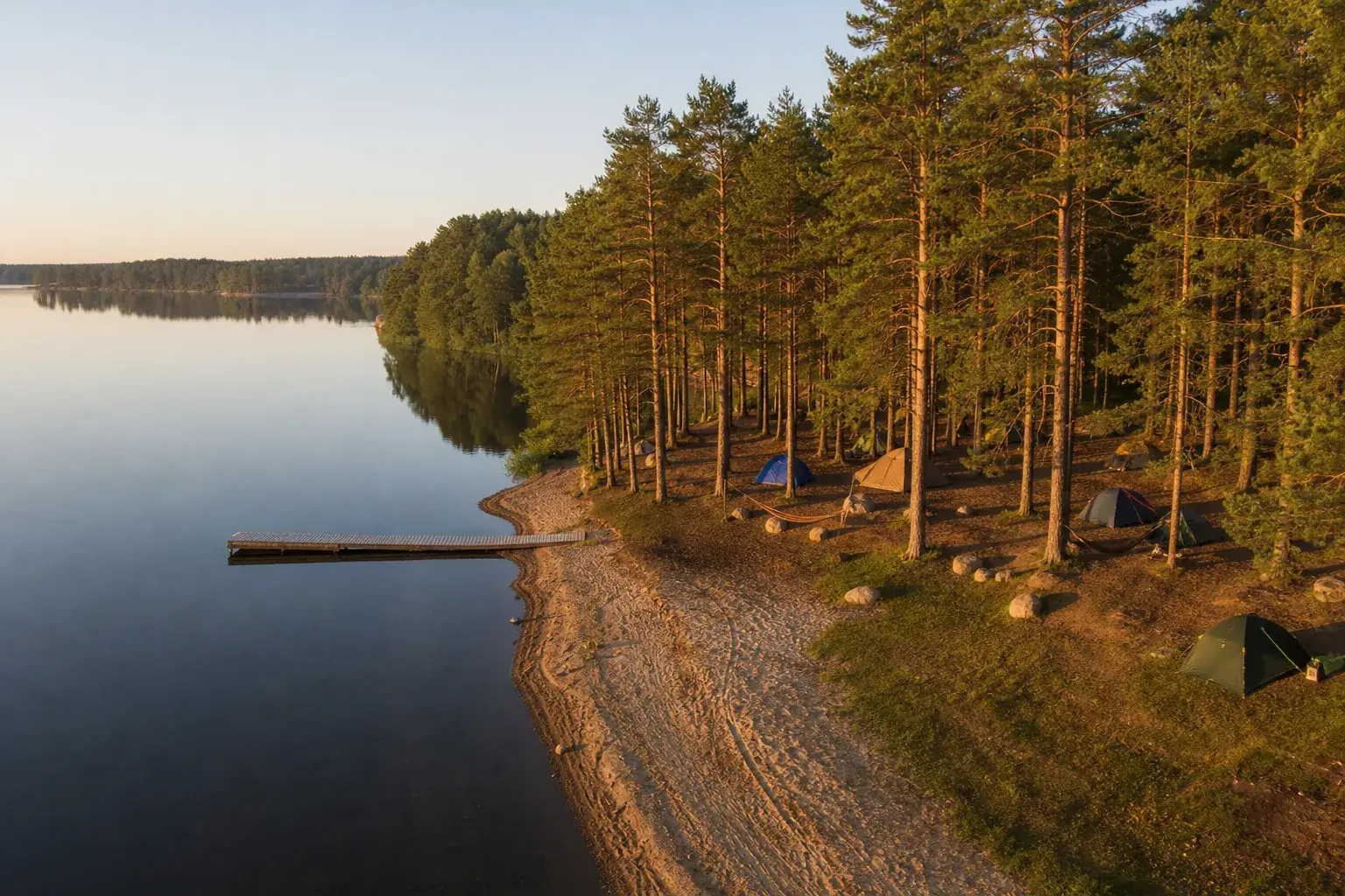 Camping au bord d’un lac sous de grands pins à l’aube, les emplacements dispersés entre les arbres, une petite plage et un ponton de bois.
