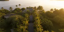 L’allée d’accès et le jardin de palmiers, vus du ciel.